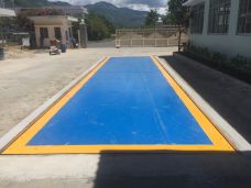 CÂN CHÌM XE TẢI 20 TẤN TRANSCELL - USA