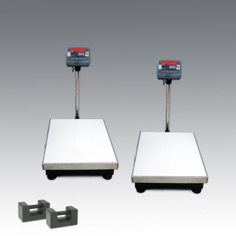 CÂN ĐIỆN TỬ 350KG - T31P